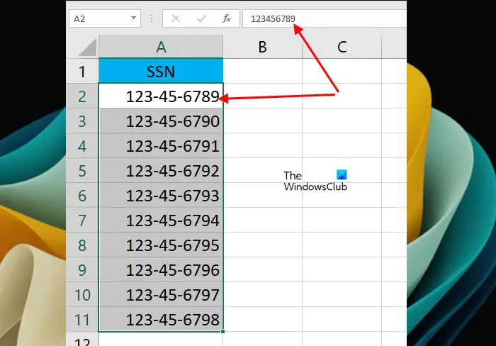 Sample data with SSN numbers