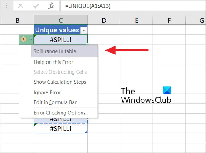 1728171730 966 How to fix SPILL error in