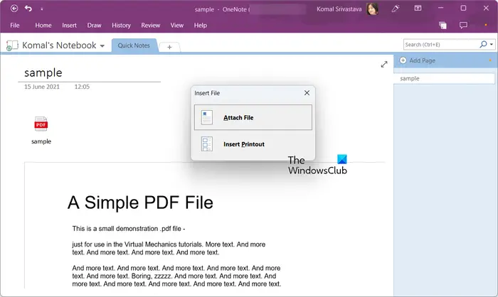 1728236195 751 How to import PDF to OneNote in Windows 1110