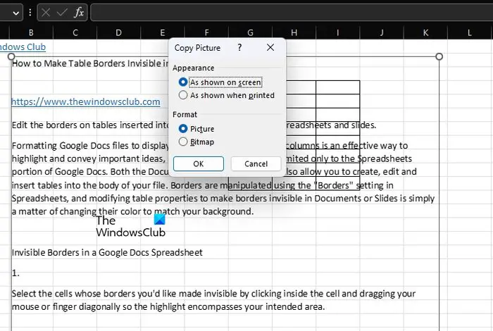 Copy as Picture Excel Appearance and Format