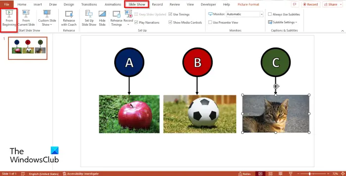 1728403106 877 Make text images objects appear one by one in PowerPoint