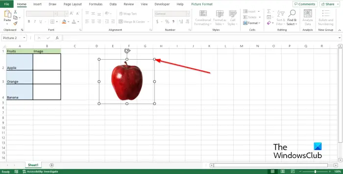 1728547133 697 How to insert Image into a cell in