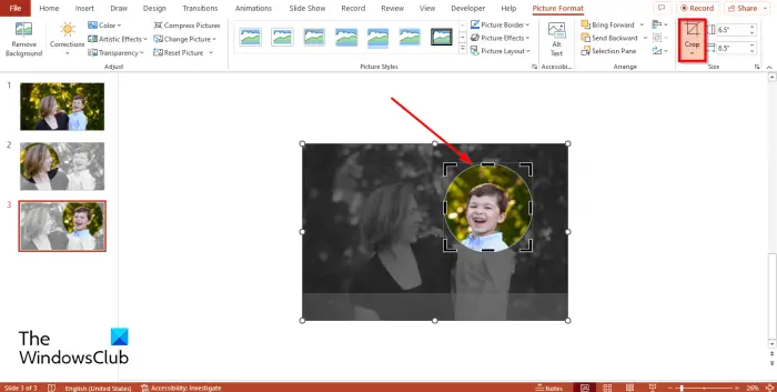 1728566116 744 How to Crop To Shape parts of PowerPoint slide