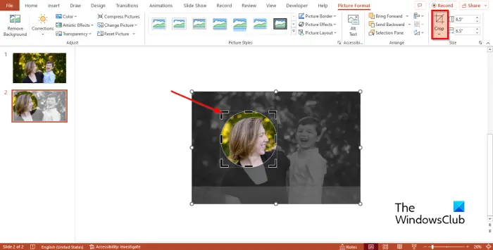 1728566116 78 How to Crop To Shape parts of PowerPoint slide