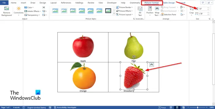 1728611858 99 How to insert Images into Table in Microsoft Word