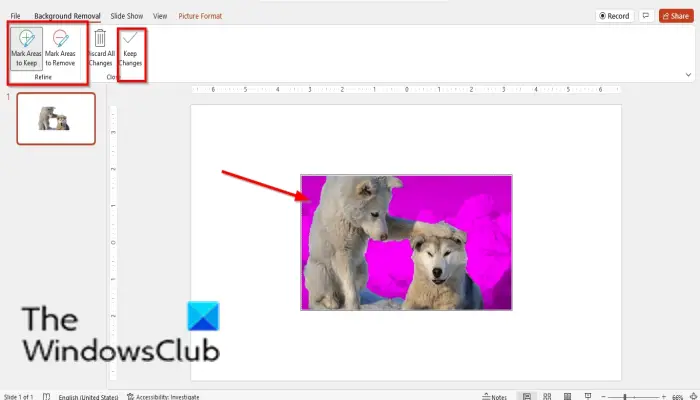 1728907225 682 How to change the Background in PowerPoint