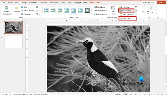 1728982014 639 How to make Picture Grayscale and Color in PowerPoint