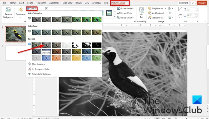 1728982014 856 How to make Picture Grayscale and Color in PowerPoint