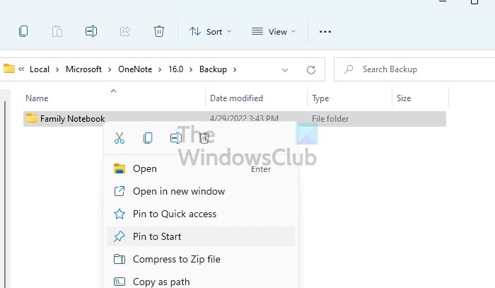 copy OneNote Files