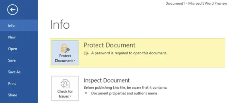 How to Password protect Microsoft Office documents