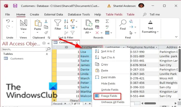 1729324330 337 How to Freeze and Unfreeze columns in Microsoft Access