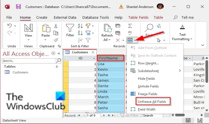 1729324330 543 How to Freeze and Unfreeze columns in Microsoft Access