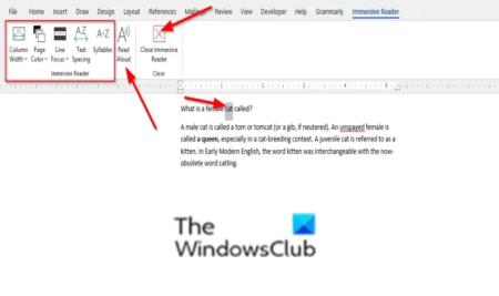 How to use Immersive Reader in Word and Edge