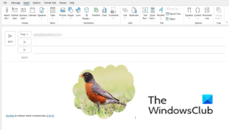 How to enable and use Crop to Shape button In Outlook