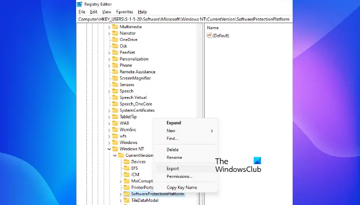 Export SoftwareprotectionPlatform subkey