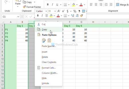 How to copy paste Columns and Rows in Excel spreadsheet