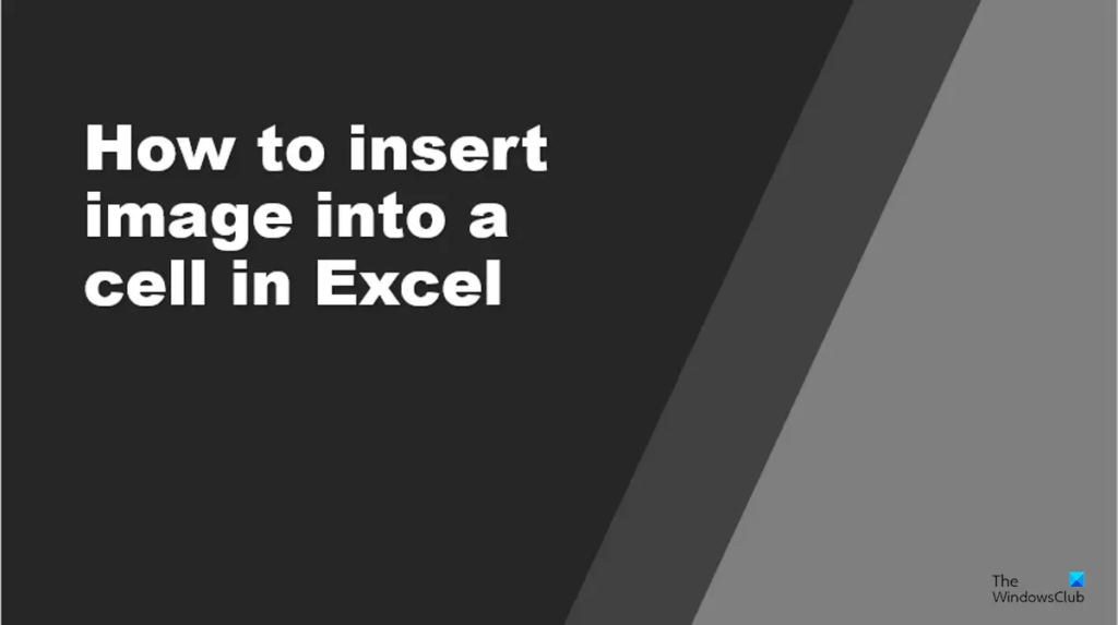 How to insert Image into a cell in Excel