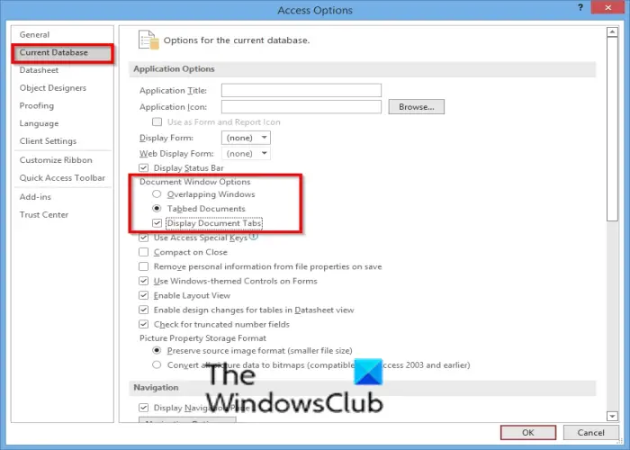 How to set Document Window Options in Access