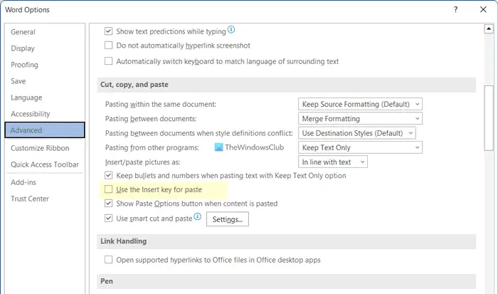 How to use Insert key to paste into Word