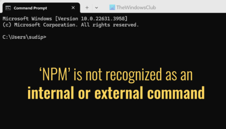 NPM is not recognized as an internal or external command