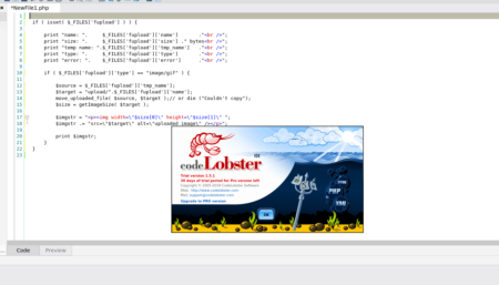 How to install Codelobster on Linux