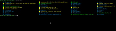 How To Make The Linux Terminal User Friendly With ColorLS