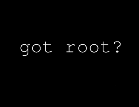 How to open programs with Root access on Linux