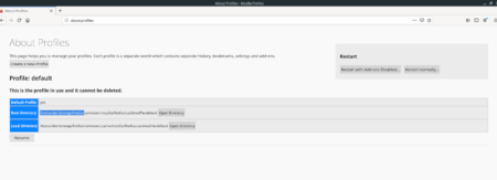 How to back up Firefox Snap settings on Linux