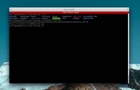 How To Upload & Share Files From The Linux Terminal With Transfer.sh